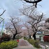 きなこ、普通に過ごす