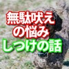 無駄吠え防止のしつけくん 愛犬のあなたが留守中の無駄吠えをしつけするのにおすすめ