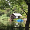 鍋島松濤公園 in 蟷螂生【庭園か微妙編】