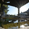 柿食わず鐘鳴らずとも法隆寺…その２