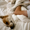 Apple Watchで睡眠トラッキング。はたしてトラッキングしているものは？