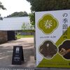 鶴岡八幡宮の季節展！