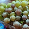 秋の味覚はお爺さんのぶどう