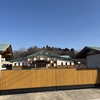 茨城県＆千葉県柏市 相撲聖地巡礼: 式秀部屋〜二所ノ関部屋〜達磨（3回目）