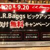 L.R.Baggs ピックアップ取付無料キャンペーン♪