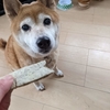 煮干しの頭と愛犬🐕のおやつ