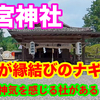静岡のパワースポット】天宮神社｜歴史と自然が息づく癒しの参拝旅【神社巡り】