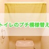 【公開】トイレを少し模様替え。目隠しカーテンをかえました