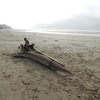 Beach Findings