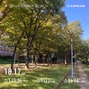 最近増えてきた中強度