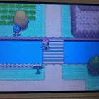 9周年から始めるポケモンプラチナプレイ日記 Vsメリッサ編 何が好きかを語るブログ 9周年から始めるポケモンプラチナプレイ日記 Vsメリッサ編 何が好きかを語るブログ