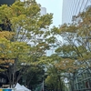 嬉しい再会