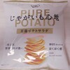 3-7.正直レポ【コンソメ味と相性悪い？！おすすめできない理由】じゃがいも心地王道サラダ＠湖池屋