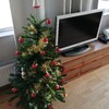 クリスマスっぽい食事