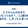 とうちゃんのおまたどうなってるの？、と2歳の娘に言われ、しまったと思った