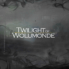 【明日方舟】イベント【TWILIGHT OF WOLUMONDE】