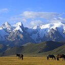　Letters from Beautiful Scenery