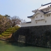 駿府城公園の中堀を散歩