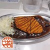 ゴーゴーカレー秋葉原！
