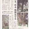 「古木、珍木地域見守る」『熊日新聞』11/1/20