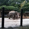 都民の日　上野動物園