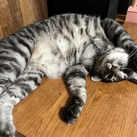 家からちょっとだけ花火鑑賞