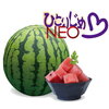 次世代スイカ「ひとりじめNEO」とは？「がっちりマンデー ！！」で紹介