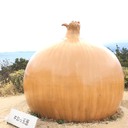 療育について(個人用メモ)