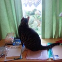 kazutreeの日記