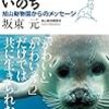 ヒグマの行動展示