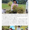 2025年10月21日 稲刈り体験