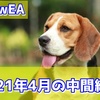 #38【BlowEA】上昇力が凄いBlowEAの4月中間結果はどうなったのか！