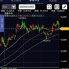 東証のトラブルと売買停止