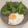 【13日目】やっぱり足の筋肉痛は大きい