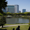 新橋～浜離宮恩賜庭園　Shinbashi - Hamarikyu Gardens（３）　