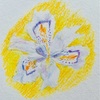 日々絵「シャガ　Iris japonica」 01.04.21