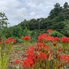 里山にも秋到来