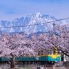 剱岳と桜：上市町から