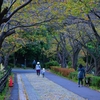 三ッ池公園で秋の紅葉を撮影。