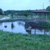 収監終了