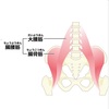 身体の使い方シリーズその144『腰椎と骨盤の関係』身体の深い部分、大腰筋を意識します。武術家・クライマー・一般の方々にもオススメです‼︎お腹がクシャッとなる方に是非、読んで頂きたいです。