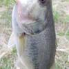 水郷バス釣行　１０．３０