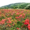 薪割りに長野へ