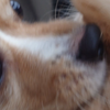 雨降りで