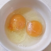 冷蔵庫の卵が氷る夏。