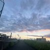 根幹