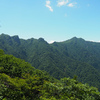 【祖母・傾】親父山登山口から親父山、障子岳、古祖母山、ブナ広場泊　2019.6.24（月）