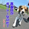 これはダレかと同じですよ！