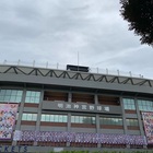 乃木坂46 真夏の全国ツアー2019@明治神宮野球場 Day1