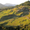 丸山千枚田　(三重県熊野市紀和町丸山)